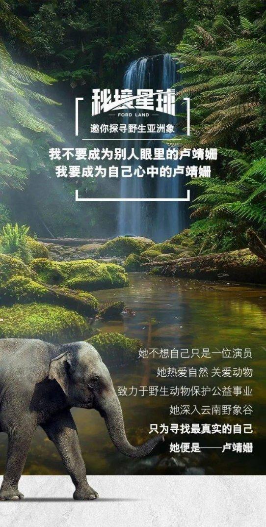 凤姐在美国近况曝光，对比留在国内的芙蓉姐姐