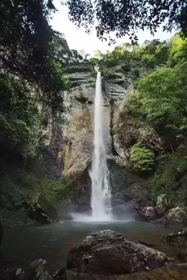 冰火人魔法森林大冒险2