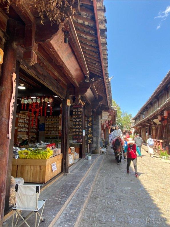 动物帮帮忙保卫家园